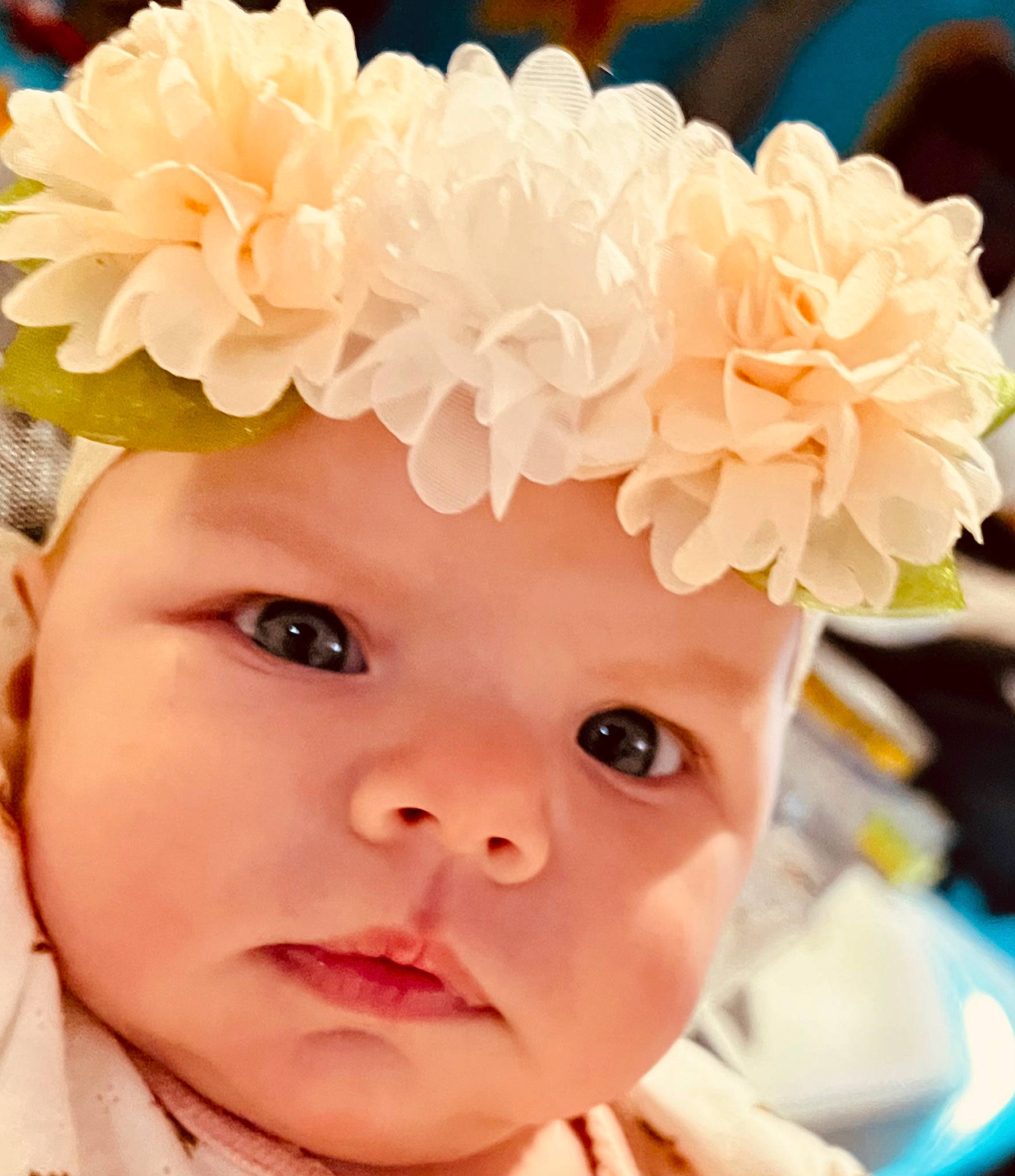 Rosalynn is registered to the contest to win money with this photo: baby, baby_toddler_clothing, costume_hat, eyelash, flower, hairstyle, happy, hat, head, headgear, headpiece, headwear, iris, lei, person, petal, pink, plant, product, textile