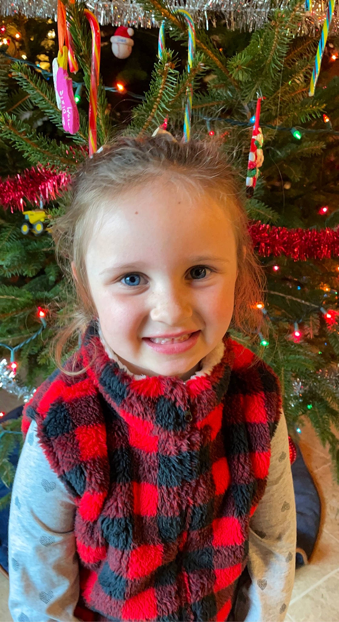 Daisy is registered to the contest to win money with this photo: christmas_ornament, christmas_tree, clothing, eye, face, green, hair, happy, head, human_body, joy, leaf, light, organ, outerwear, person, plant, smile, standing, tartan