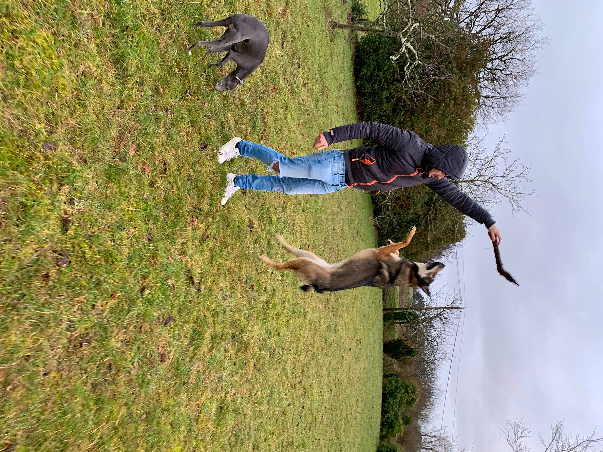 Raïko participe au concours pour gagner de l'argent avec cette photo : adventure, clothing, fun, grass, grassland, happy, jeans, landscape, leisure, people_in_nature, plant, recreation, sky, soil, tree, trunk, vertebrate, wood