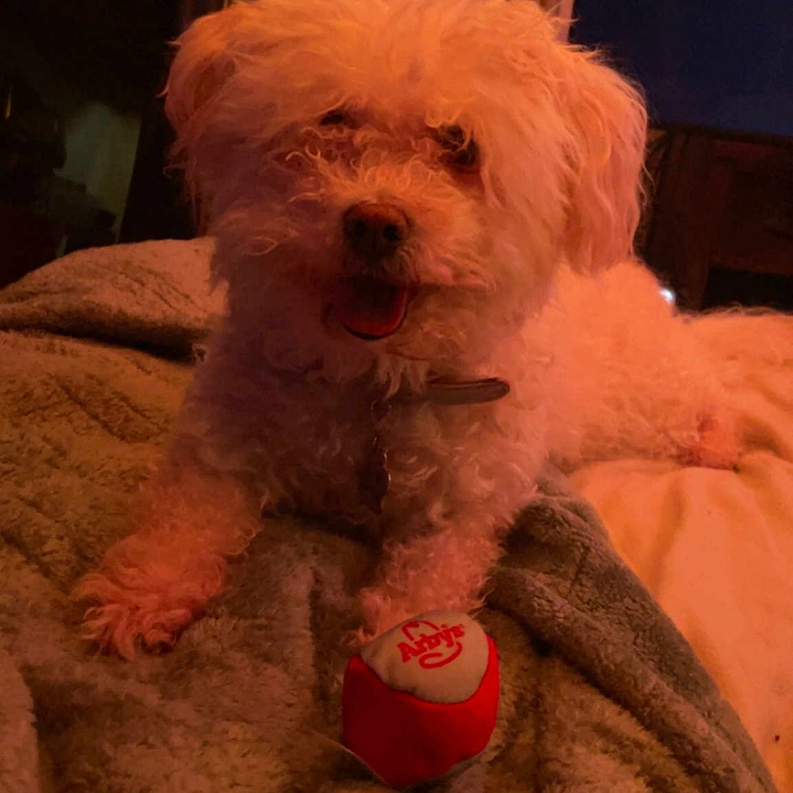 Petey