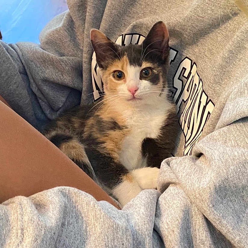 Tiny