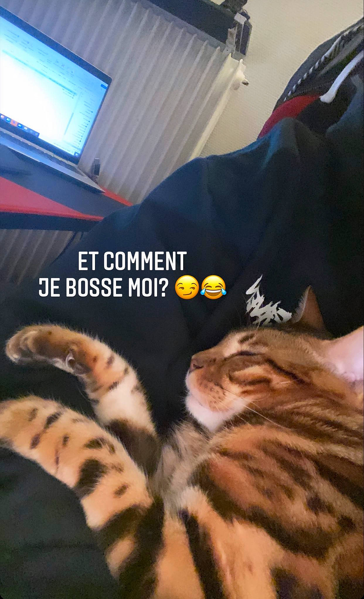 Street participe au concours pour gagner de l'argent avec cette photo : carnivore, cat, comfort, couch, electronic_device, fawn, felidae, fur, human_leg, light, linens, nail, paw, small_to_medium_sized_cats, snout, tail, terrestrial_animal, thigh, vertebrate, whiskers