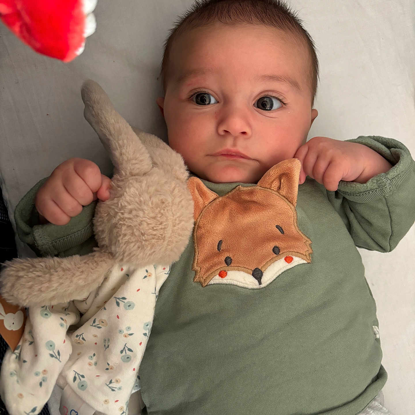 Isaac participe au concours pour gagner de l'argent avec cette photo : adorable, baby, calm, child, clothing, curious, cute, face, fox_patch, green_shirt, hand, indoors, infant, lying_down, plush_toy, portrait, soft_surface, stuffed_animal, wide_eyes, young