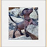Balou participe au concours pour gagner de l'argent avec cette photo : alert, animal, black_coat, brown_skin, canine, collar, dog, funny, green_tag, hairless_dog, leash, nature, outdoor, pointed_ears, portrait, rocks, standing, stone, tail, wrinkled_skin