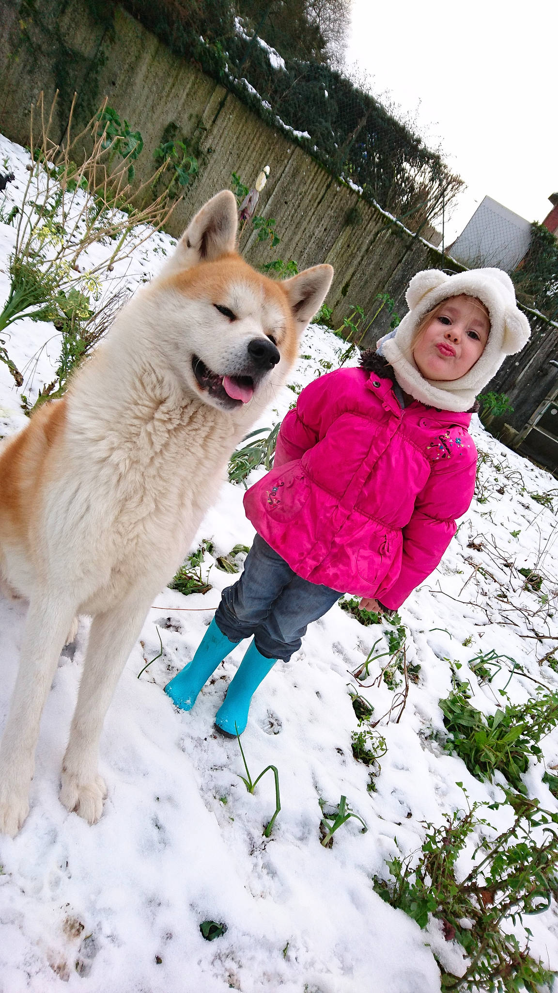 Saïko participe au concours pour gagner de l'argent avec cette photo : adventure, czechoslovakian_wolfdog, dog, dog_breed, dog_breed_group, dog_like_mammal, freezing, fun, fur, ice, icelandic_sheepdog, person, siberian_husky, snow, spitz, tree, winter