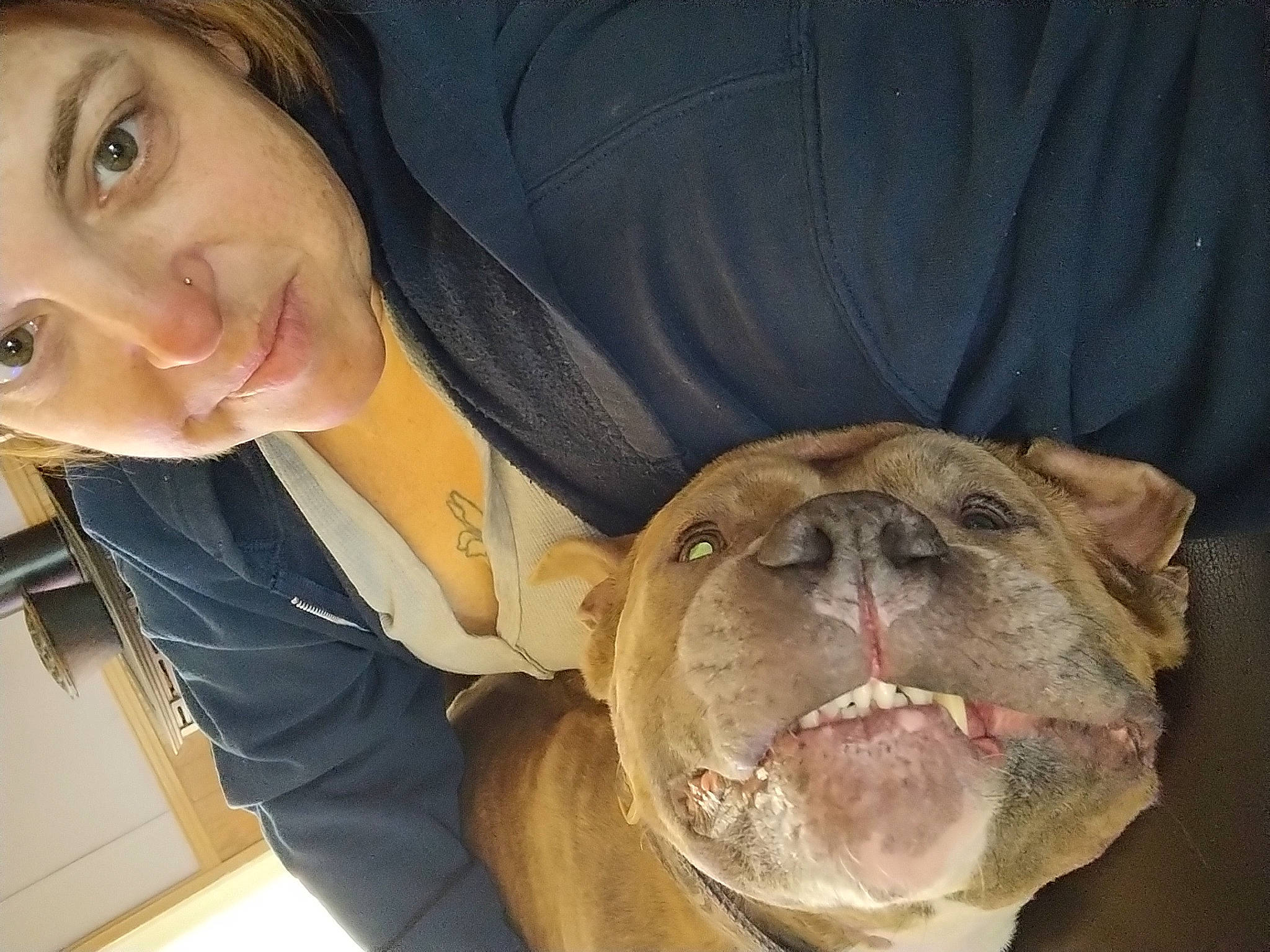 Rebel joined the competition — help win amazing prizes! bulldog, carnivore, comfort, companion_dog, dog, ear, eye, face, fawn, happy, iris, jaw, mouth, nose, organ, skin, smile, snout, whiskers, wrinkle