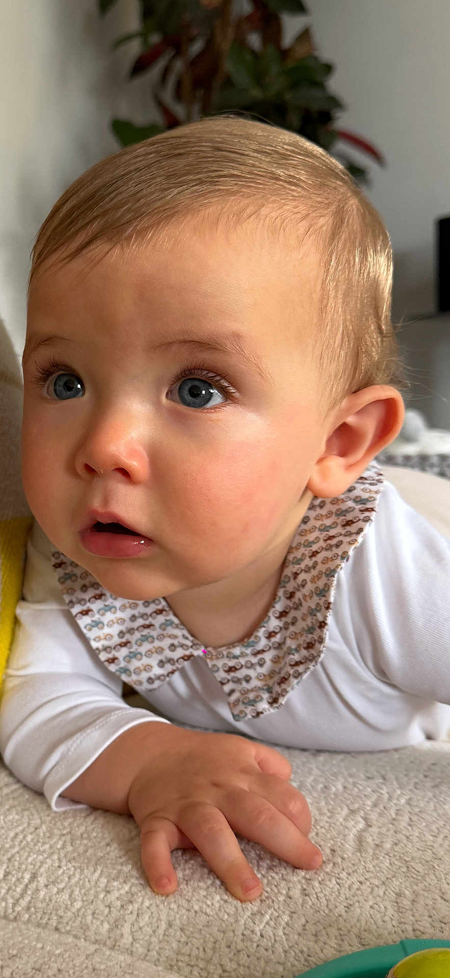 Léon participe au concours pour gagner de l'argent avec cette photo : baby, infant, child, face, blue_eyes, long_eyelashes, blond_hair, skin, ear, hand, fingers, collar, patterned_clothing, white_outfit, lying_down, close_up, curious_expression, indoor, soft_rug, plant_background