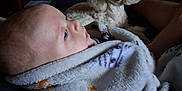 Zane joined the competition — help win amazing prizes! baby, blanket, dog, poodle, indoor, person, face, fur, animal, pet, couch, legs, foot, soft, warm, cozy, curious, light, shadow, comfort