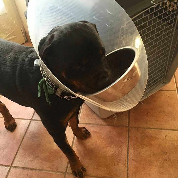 Idony participe au concours pour gagner de l'argent avec cette photo :