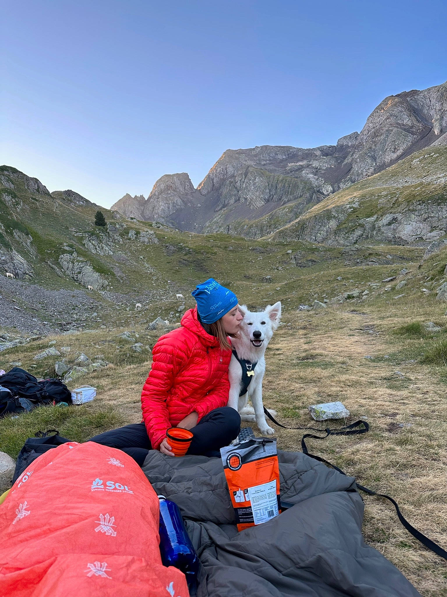 Ubby a rejoint le concours — aidez-le/la à gagner de superbes lots ! backpack, dog, geological_phenomenon, glacial_landform, grassland, hiking_equipment, hill, landscape, leisure, luggage_and_bags, mountain, mountain_range, mountaineer, mountainous_landforms, recreation, rock, sky, slope, travel, wilderness