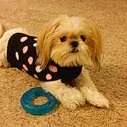 Chloe joined the competition — help win amazing prizes!