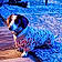 Dottie