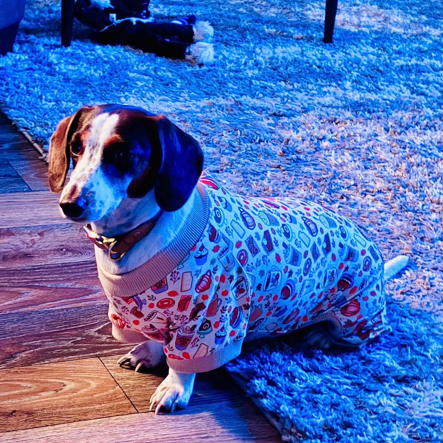 Dottie