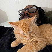 Toasty is registered to the contest to win money with this photo: cat, orange_cat, sleeping_cat, person, glasses, couch, indoor, relaxing, cozy, close_up, pet, feline, resting, black_clothing, facial_hair, dreadlocks, home, comfort, nap, furry