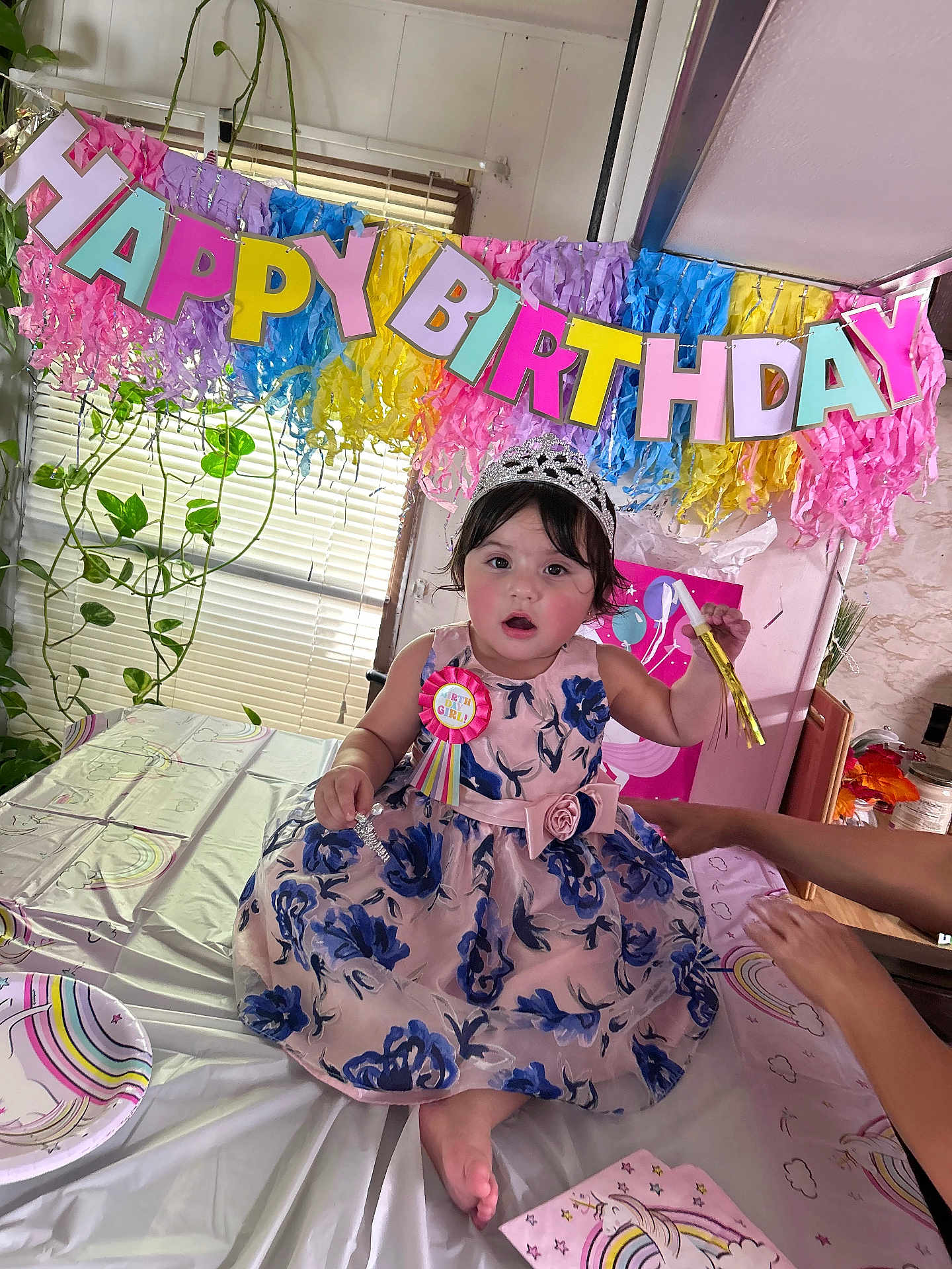 Sophia is registered to the contest to win money with this photo: child, toddler, birthday_party, dress, tiara, table, party_favors, banner, colorful, decoration, rainbow, indoor, celebration, person, face, hands, plant, window, pink, blue