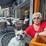 Marley participe au concours pour gagner de l'argent avec cette photo : casual, chair, companion, daylight, dog, french_bulldog, glassware, outdoor, pavement, pet, red_shirt, relaxation, restaurant, smiling_dog, sunglasses, table, umbrellas, urban, wicker_chair, woman