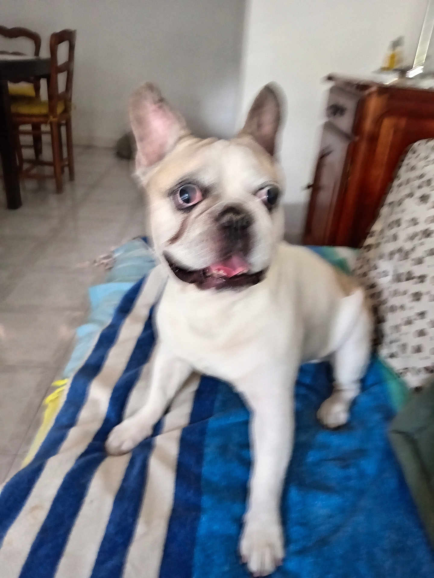Marley