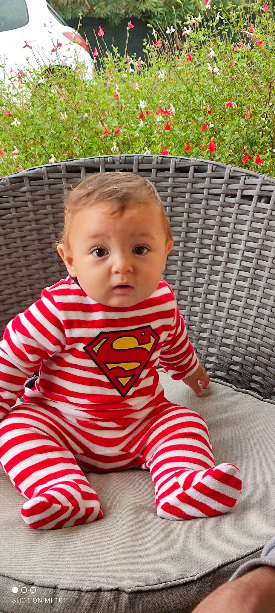 Lyam participe au concours pour gagner de l'argent avec cette photo : baby, baby_toddler_clothing, child, dress, eye, flower, flowerpot, hair, hairstyle, happy, head, person, photograph, pink, plant, product, red, skin, sleeve, t_shirt