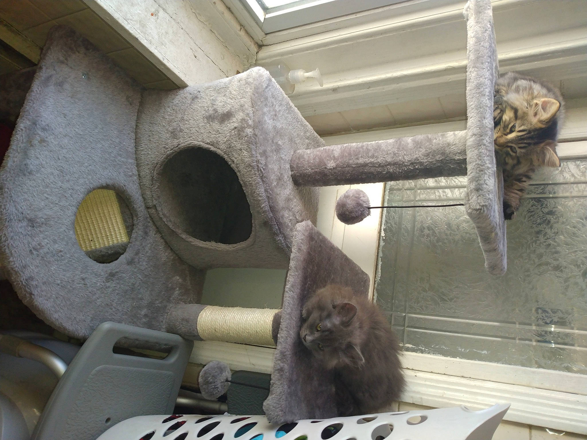 Foxy is registered to the contest to win money with this photo: auto_part, automotive_tire, automotive_wheel_system, circle, concrete, cylinder, engineering, gas, machine, metal, motor_vehicle, nut, pipe, plumbing, rim, steel, wood