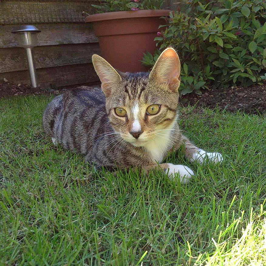 Freddie joined the competition — help win amazing prizes!