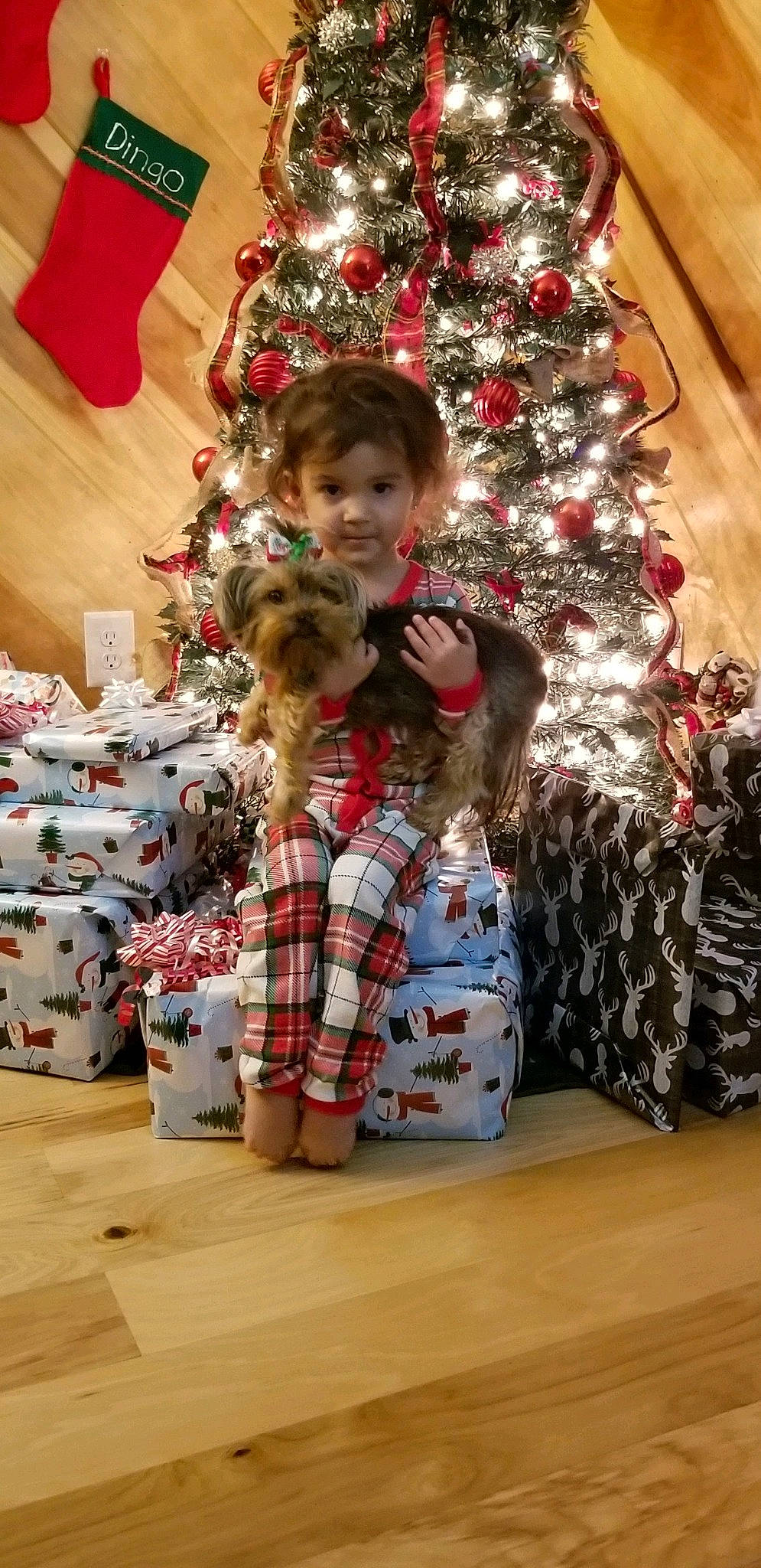 Rebecca joined the competition — help win amazing prizes! christmas, christmas_decoration, christmas_ornament, christmas_tree, event, fawn, fun, gift_wrapping, holiday, holiday_ornament, interior_design, lap, ornament, person, plaid, plant, red, tartan, toy, white