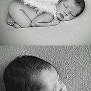 Stallone participe au concours pour gagner de l'argent avec cette photo : newborn, baby, infant, sleeping, angel_wings, black_and_white, portrait, close_up, peaceful, soft_texture, skin, face, head, hand, fingers, lying_down, cute, newborn_photography, child, resting