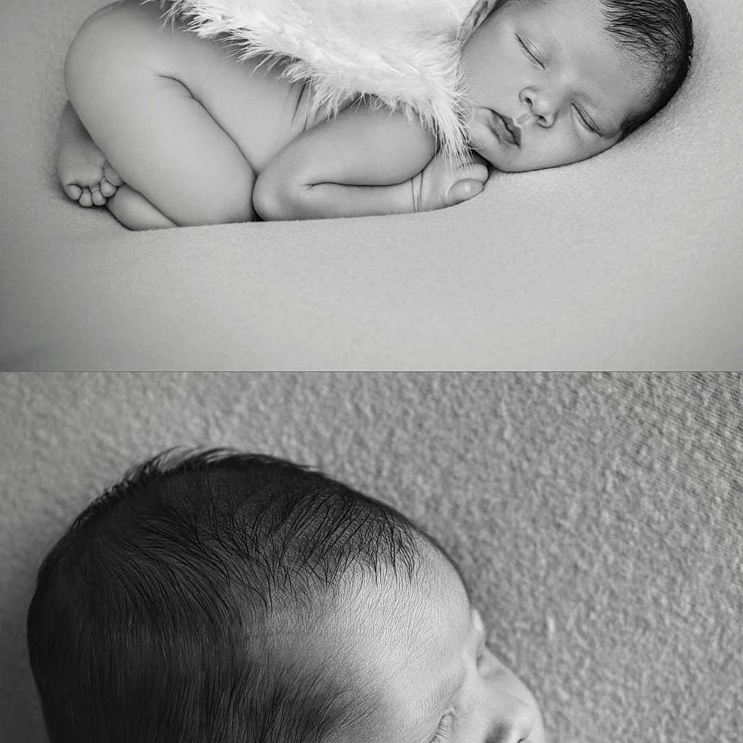 Stallone participe au concours pour gagner de l'argent avec cette photo : newborn, baby, infant, sleeping, angel_wings, black_and_white, portrait, close_up, peaceful, soft_texture, skin, face, head, hand, fingers, lying_down, cute, newborn_photography, child, resting