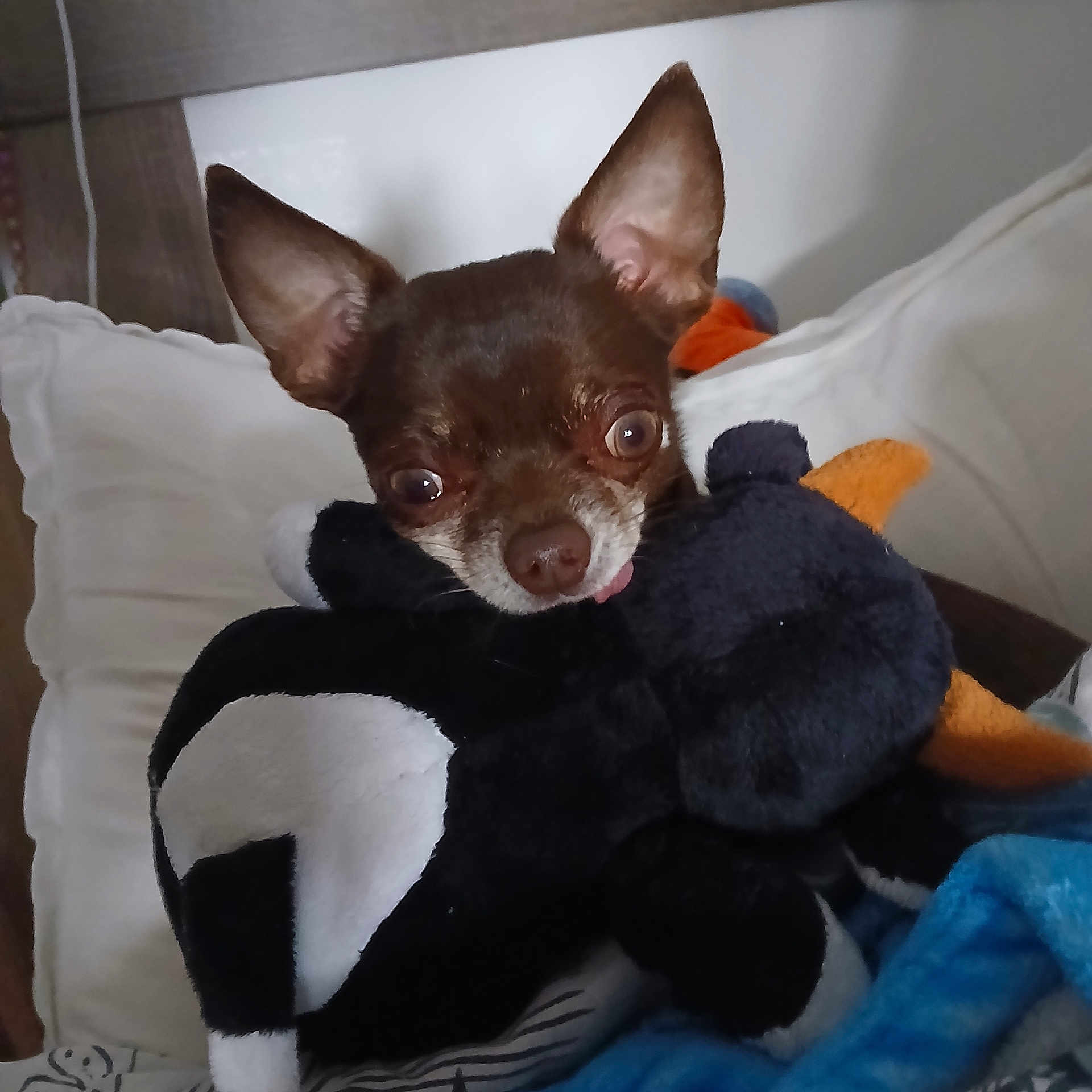 Yuki