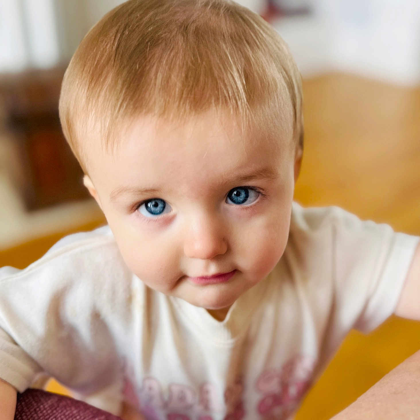 Avery joined the competition — help win amazing prizes! baby, background_blur, blue_eyes, child, close_up, curious, cute, expression, face, head, indoor, leaning, looking, person, portrait, short_hair, skin, toddler, white_shirt, young_child