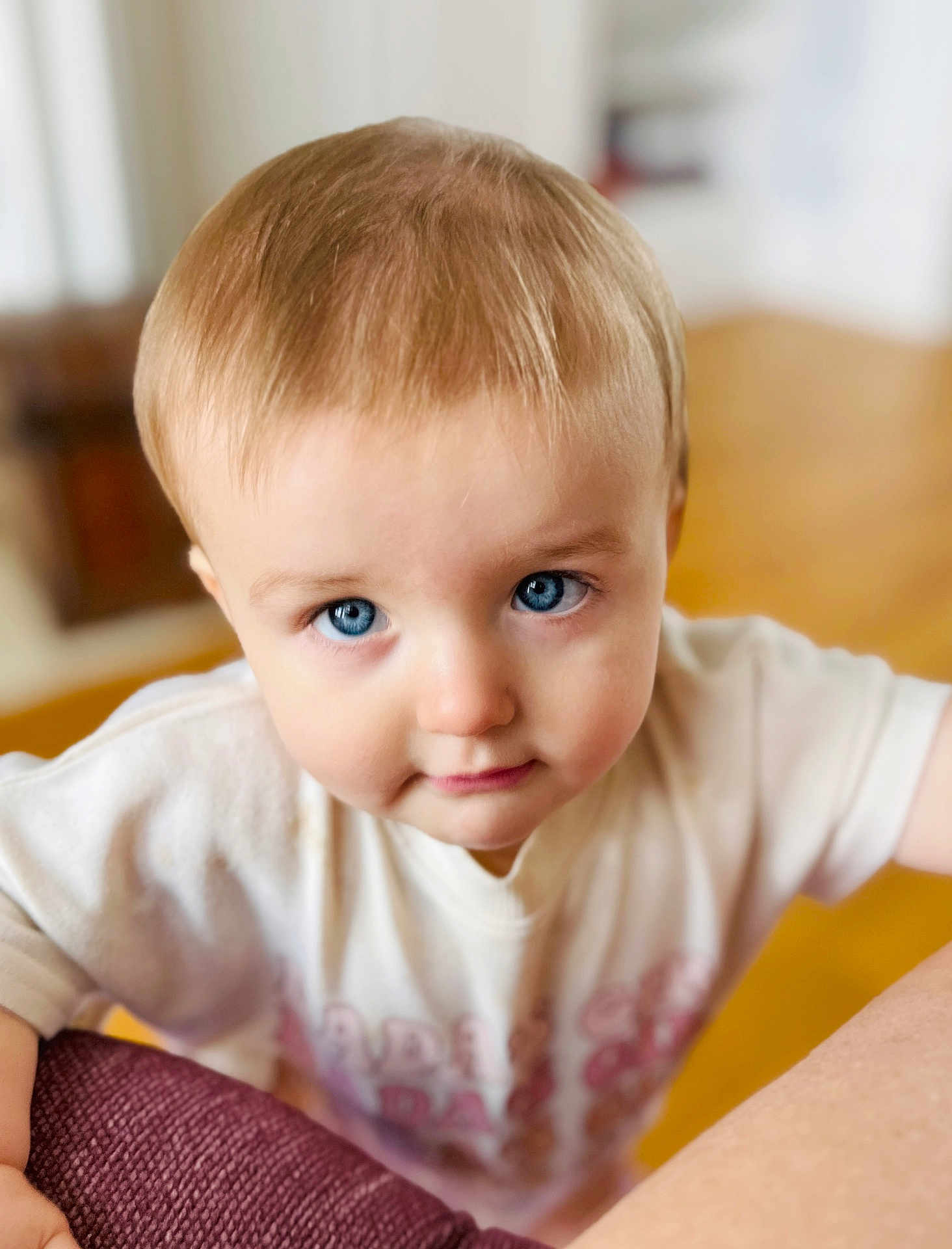 Avery joined the competition — help win amazing prizes! toddler, child, blue_eyes, face, curious, indoor, white_shirt, leaning, close_up, portrait, young_child, short_hair, person, cute, expression, skin, baby, head, looking, background_blur