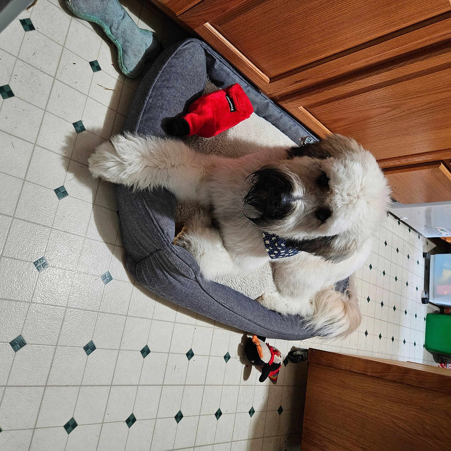 Mishka