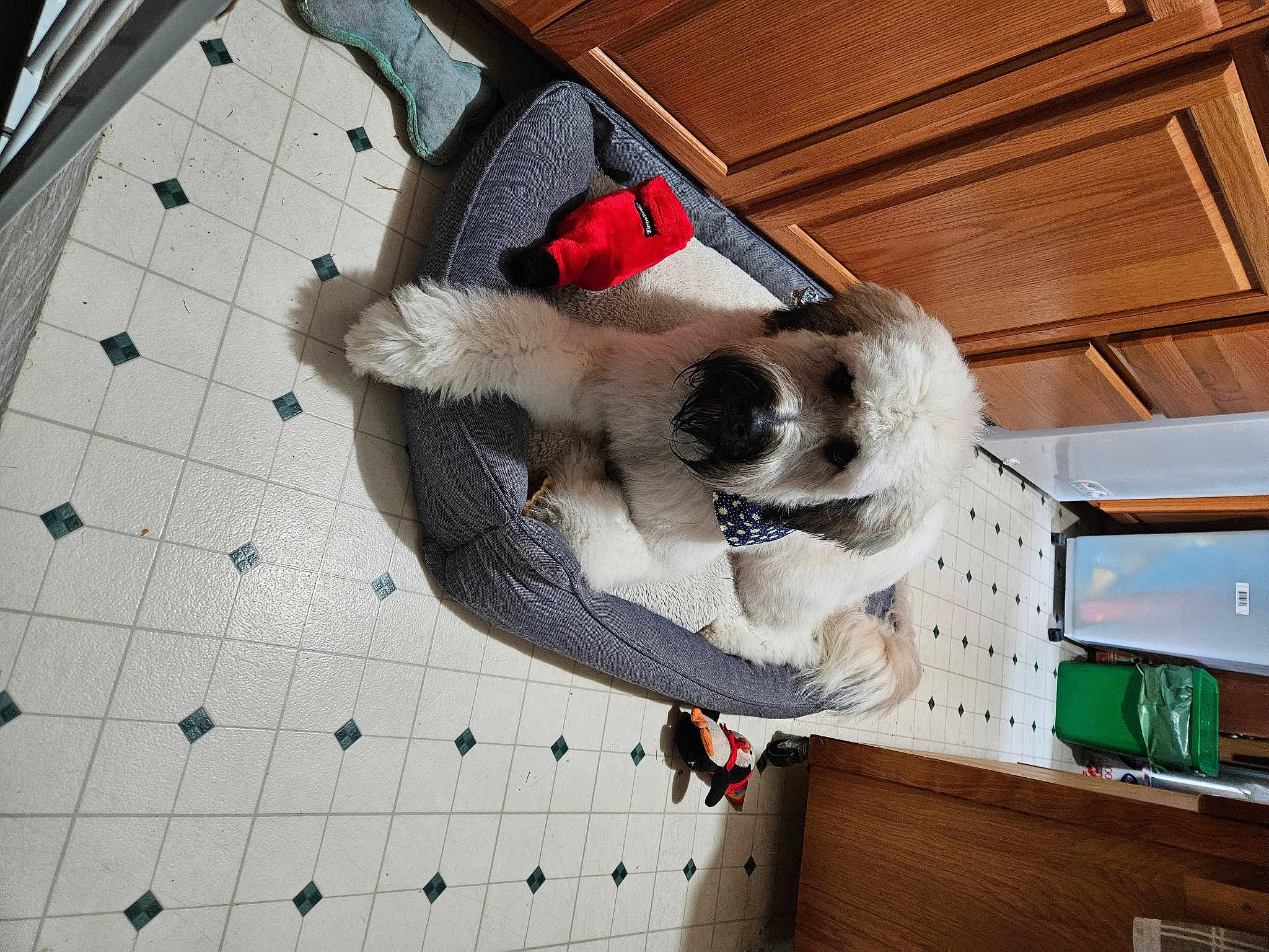 Mishka