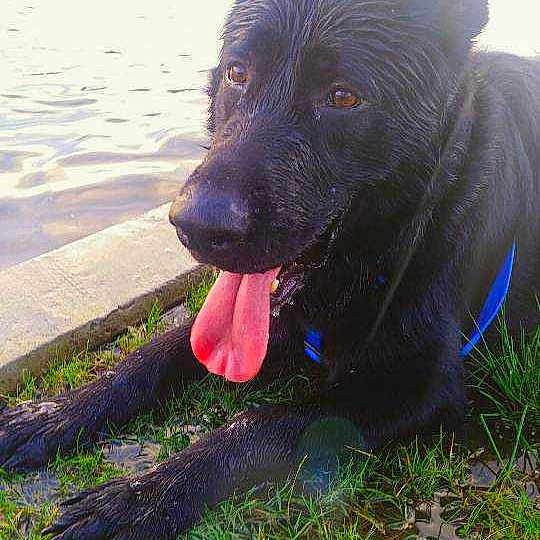 Triton joined the competition — help win amazing prizes!