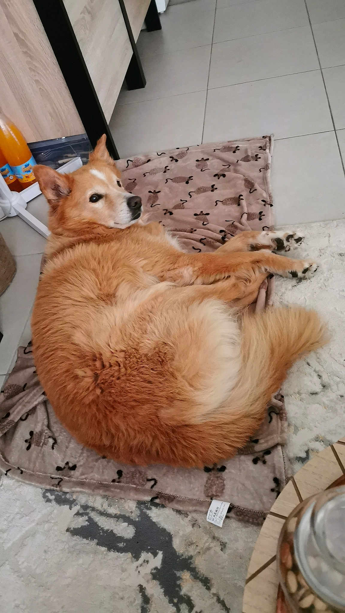 Mufasa