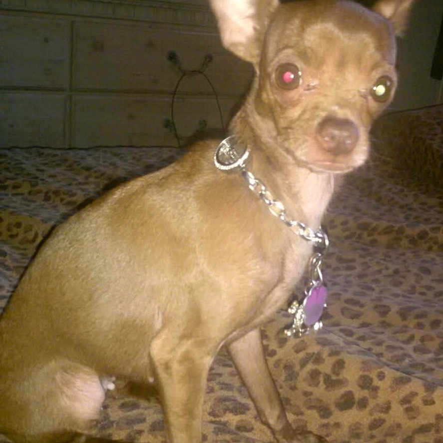 Coco