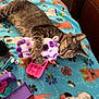 cat, tabby_cat, plush_toy, purple, blanket, animal_print, toy_car, toy, indoor, pet, cute, sleepy, feline, soft_toy, colorful, playful, resting, cozy, fur, collar