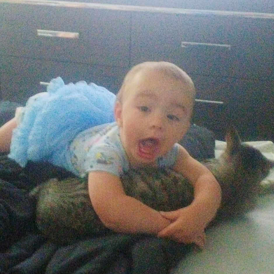 Annabella joined the competition — help win amazing prizes! animal, baby, bed, blanket, blue_skirt, cat, child, cuddling, drawer, furniture, hugging, indoor, person, pet, room, sleepwear, surprised_expression, tabby_cat, television, young_child