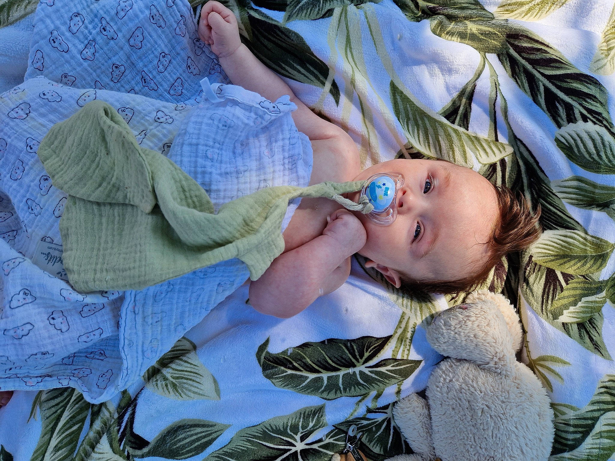 Hippolyte a rejoint le concours — aidez-le/la à gagner de superbes lots ! baby, baby_products, baby_toddler_clothing, child, comfort, electric_blue, eye, eyelash, fashion_accessory, grass, happy, iris, linens, pattern, people_in_nature, person, plant, sitting, skin, textile