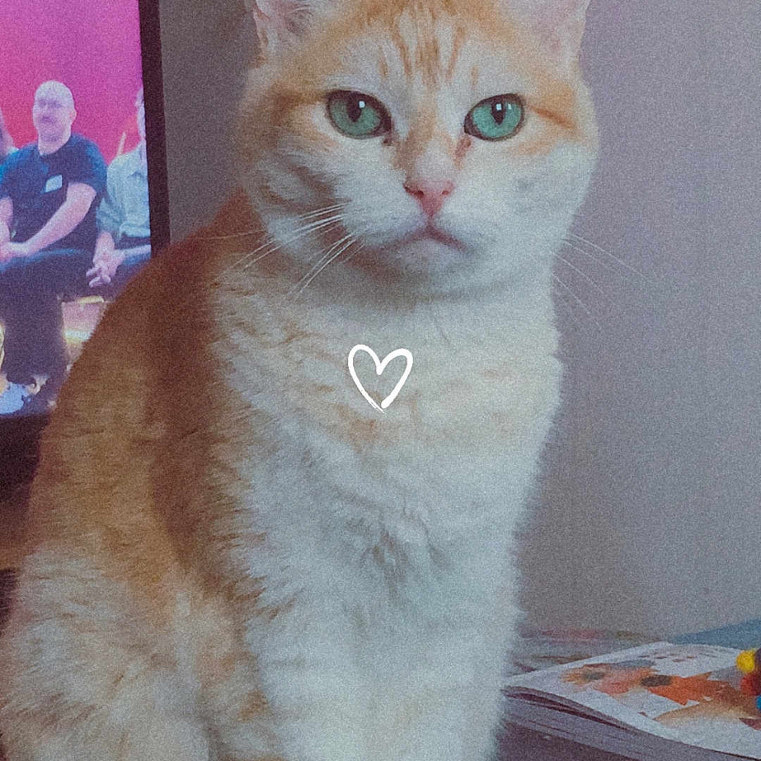 Manu
