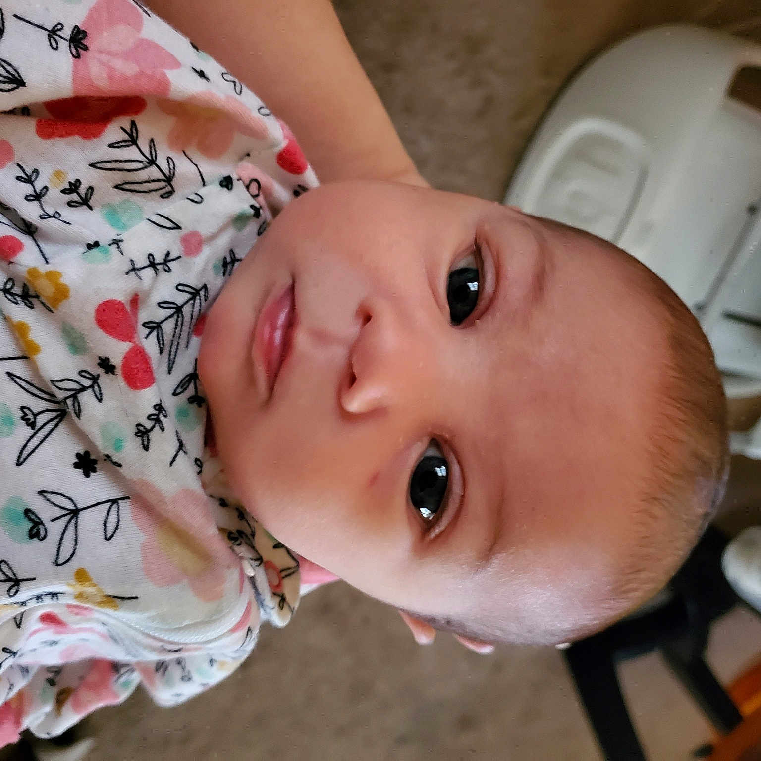 Scarlett