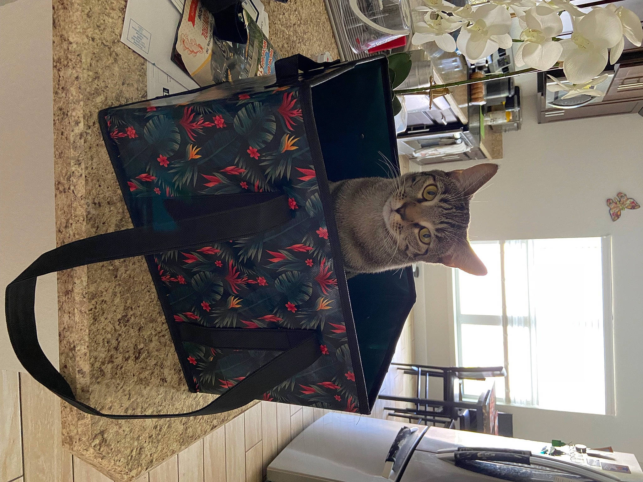 Tabitha joined the competition — help win amazing prizes! art, automotive_design, bag, carmine, ceiling, chair, fashion_accessory, fashion_design, flooring, linens, machine, pattern, room, table, visual_arts, window, wire, wood