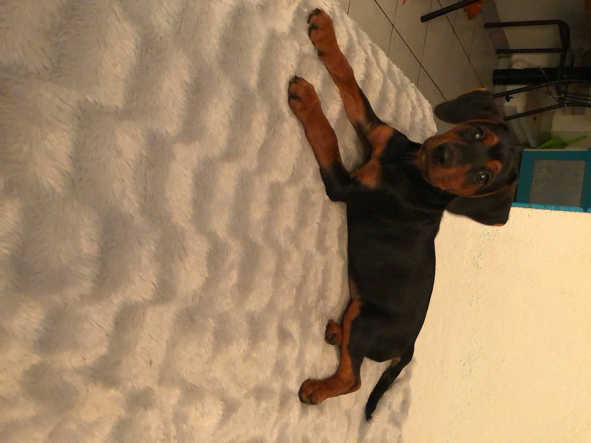 Plume participe au concours pour gagner de l'argent avec cette photo :