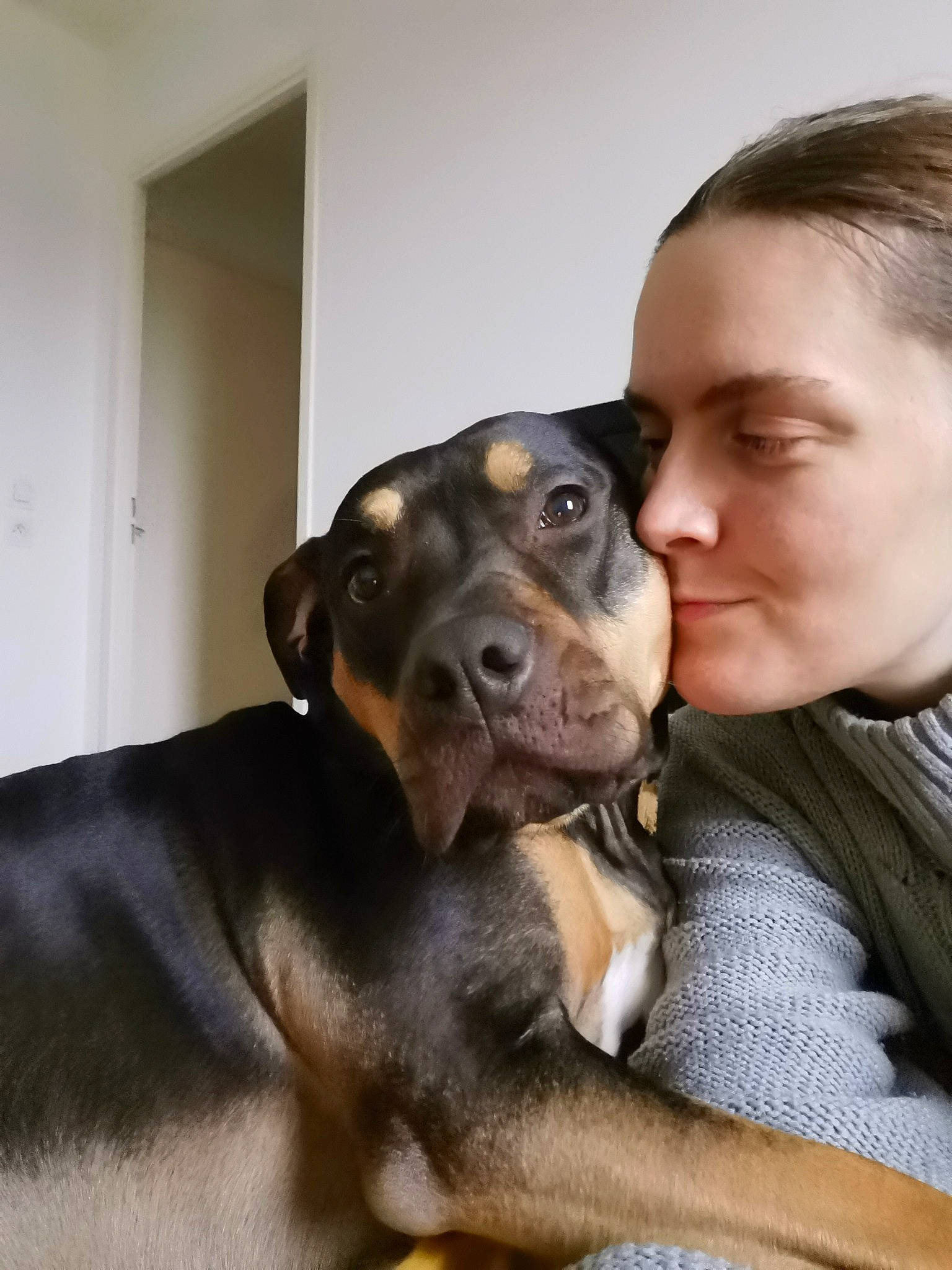 Nella a rejoint le concours — aidez-le/la à gagner de superbes lots ! canidae, carnivore, comfort, companion_dog, dog, dog_breed, ear, fawn, fur, guard_dog, happy, head, jaw, selfie, smile, snout, sporting_group, whiskers, working_animal, working_dog