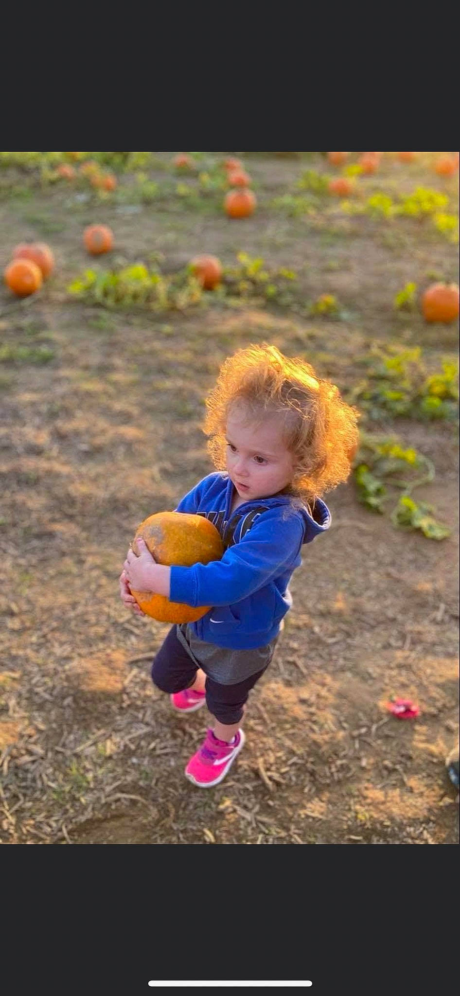 Mia is registered to the contest to win money with this photo: ball, child, cucurbita, fun, grass, happy, leisure, natural_foods, orange, people_in_nature, person, plant, play, player, playing_with_kids, pumpkin, soil, sports_equipment, squash, toddler