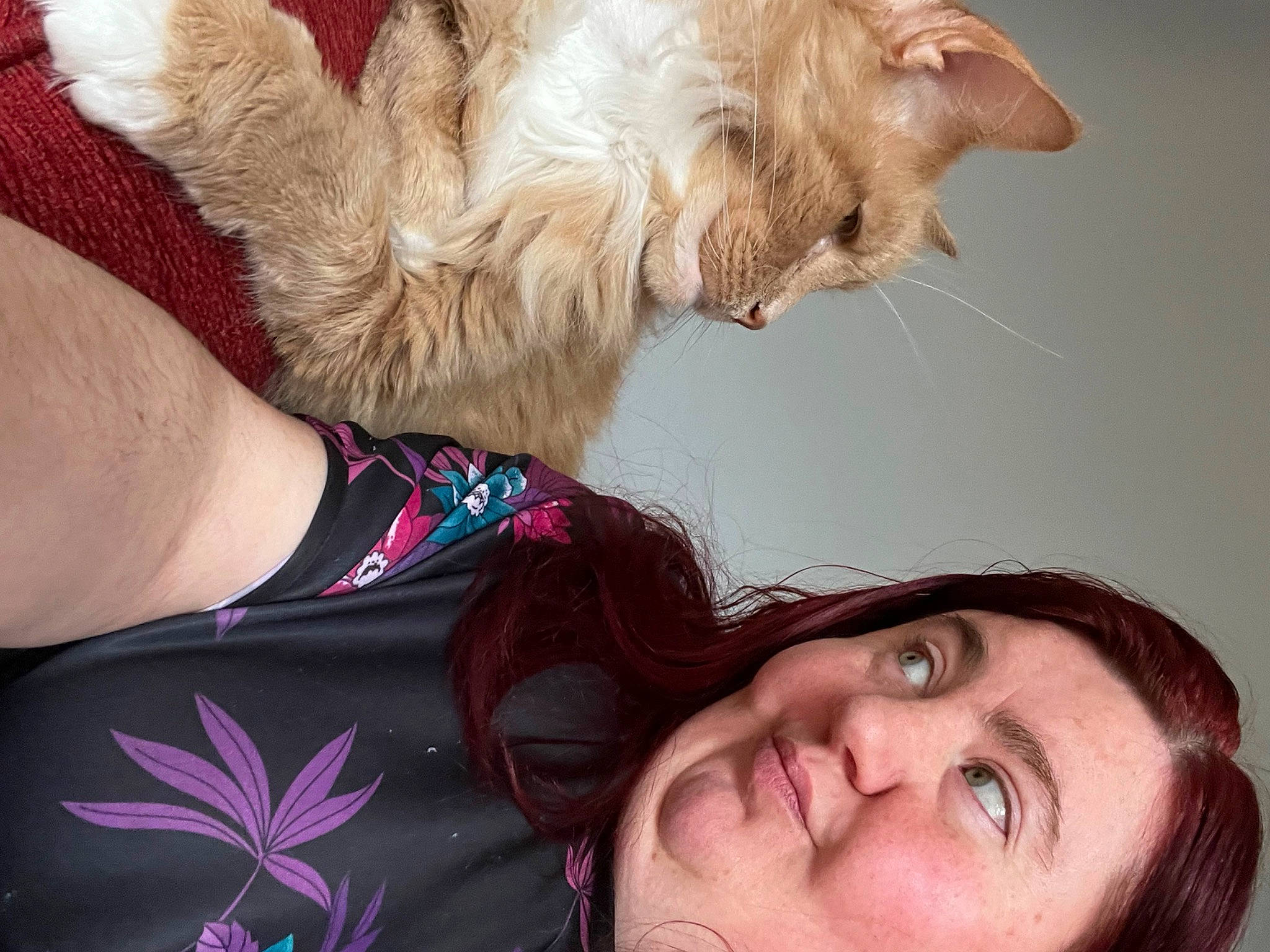 Sullivan is registered to the contest to win money with this photo: beard, carnivore, cat, ear, eyelash, eyewear, felidae, finger, fun, gesture, glasses, happy, lip, neck, nose, organ, selfie, skin, sunglasses, whiskers