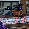 kitten, black_cat, basket, table, table_runner, wooden_table, purple_collar, cubicle_shelf, decorative_items, cozy, indoor, home, furniture, wooden_wall, sign, curious, pet, animal, small, cute