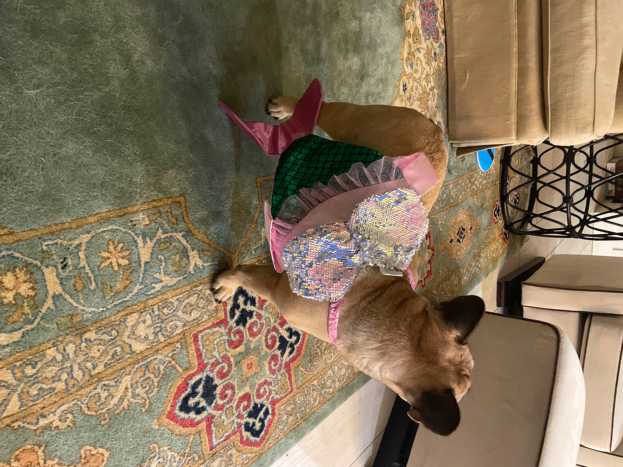 June is registered to the contest to win money with this photo: art, child, comfort, couch, dress, fawn, floor, flooring, hardwood, hat, human_leg, linens, magenta, pattern, room, textile, thigh, tree, visual_arts, wood