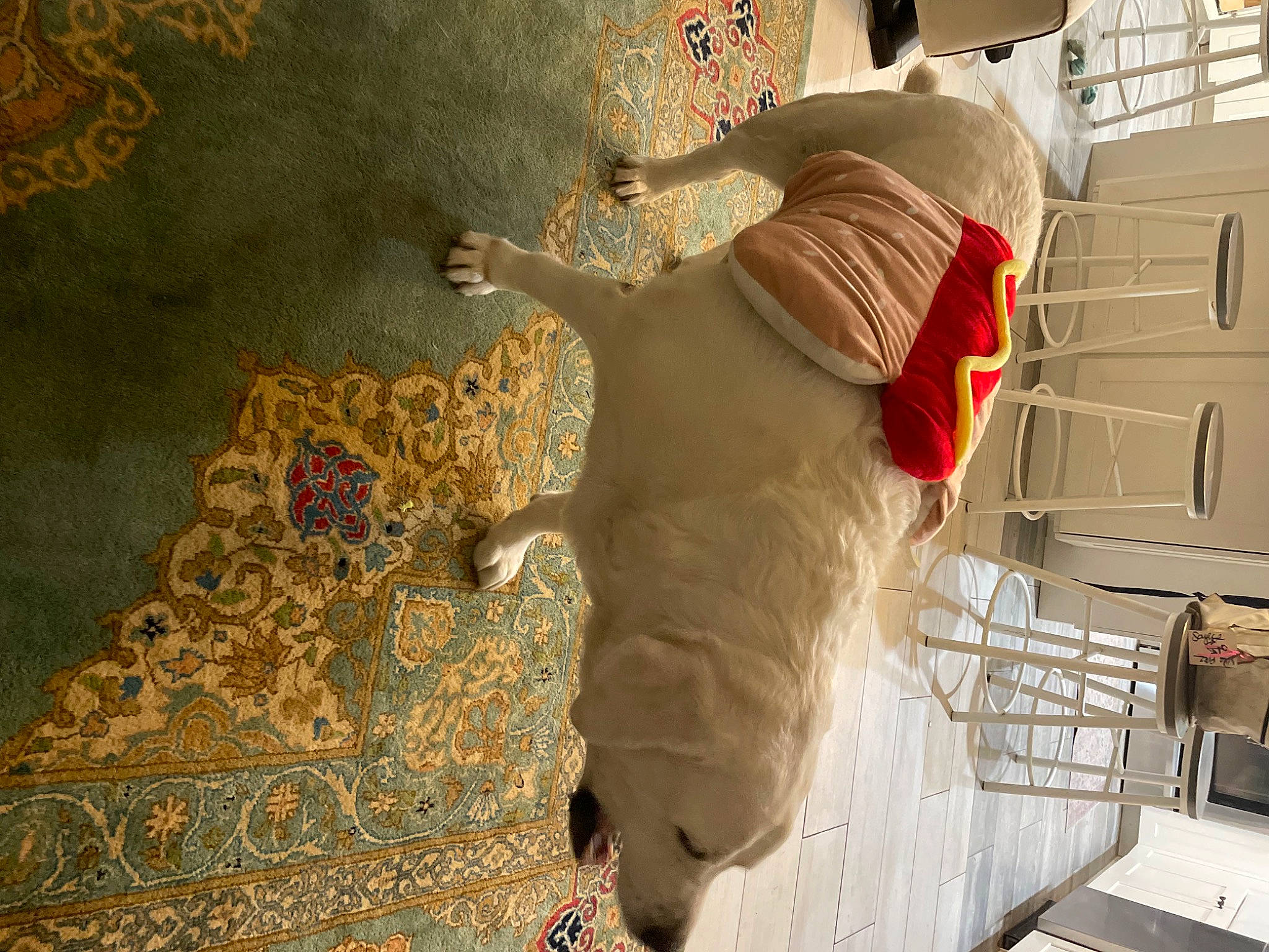 Bobby is registered to the contest to win money with this photo: art, ceiling, flooring, fun, fur, house, interior_design, metal, pattern, plaster, room, sculpture, stairs, statue, stuffed_toy, textile, tourist_attraction, visual_arts, wood, world