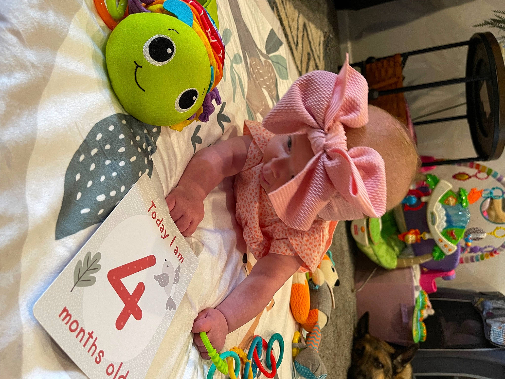 Jolene joined the competition — help win amazing prizes! baby_products, baby_toys, carmine, child, event, font, linens, paper, paper_product, party_supply, pattern, person, plastic, plush, room, stuffed_toy, sweetness, textile, toy