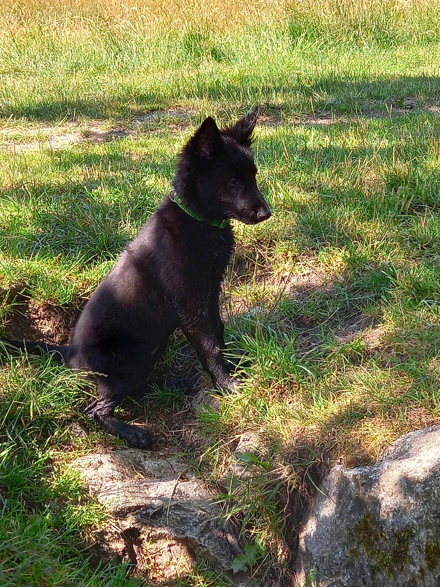 Taka Des Abimes Ardents